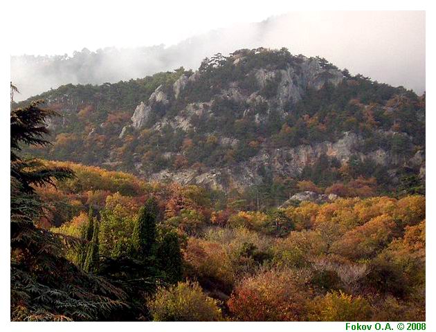 Осень в Крымских горах. Фоков Александр, Днепропетровск. http://iloveua.org/article/59