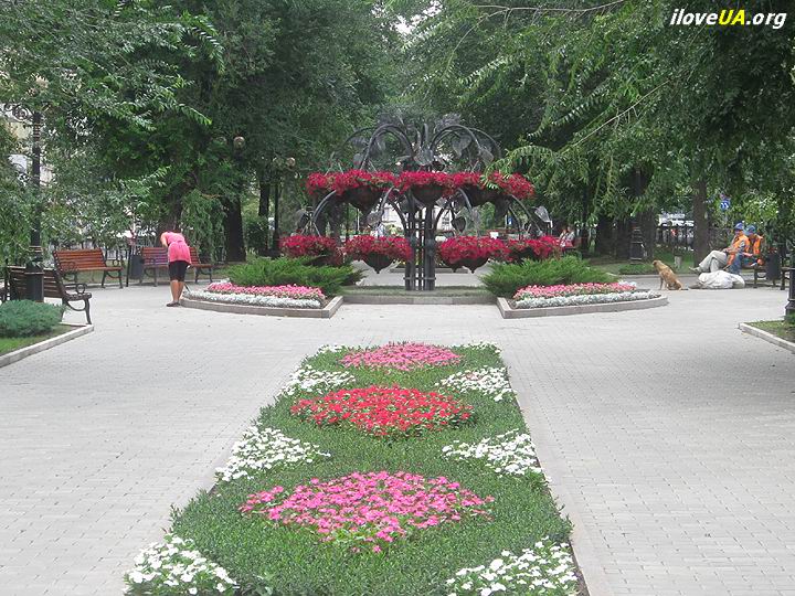 Цветы на бульваре Шевченко, Донецк