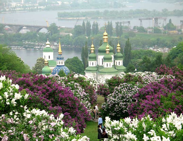 ботанический сад Гришко, сирень цветет и вид на Выдубецкий монастырь