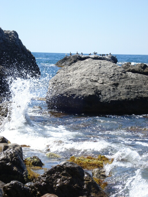 прибой, прибрежные камни, чайки на мысе Сарыч в Крыму