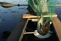 Отчет о рыбалке на Десне