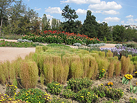 Ботанический сад Таврического НУ или преображение Салгирки
